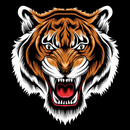 Fixed Correct Score Tips APK