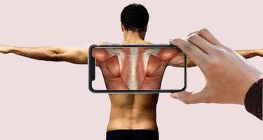 Body Scanner - Skeletal System poster