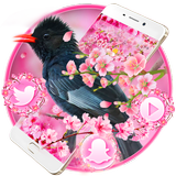 Sakura Pink Flower Bird Theme icon