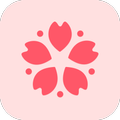 Sakura Timer