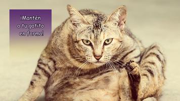 Láser para gato. Simulador captura de pantalla 1