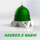 hadees e nabvi in urdu offline ícone