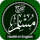 Sahih Muslim Hadith (English) APK