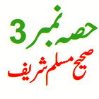 Sahih Muslim Hadith Part3 Urdu ícone