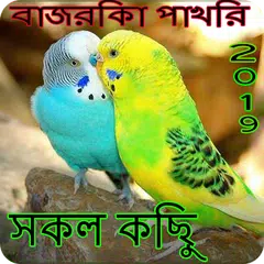 বাজরিকার পাখির সম্পর্কে সকল তথ