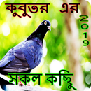 কবুতর সম্পর্কে সকল তথ্য and st APK