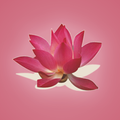 Saint Barth App