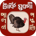 টার্কি মুরগি পালন পদ্ধতি∼tarki palon