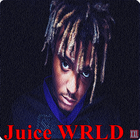 Juice WRLD All Songs Lyrics simgesi