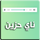 معزوفات على الناي بدون نت APK