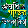 ঔষধি গাছের উপকারিতা