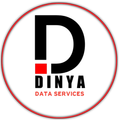 Dinya Data Services