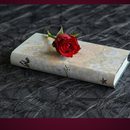 Urdu shayari - Poetry in urdu best urdu poetry APK