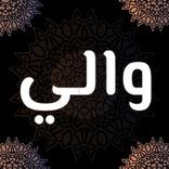 Wali Songo Indonesia