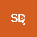 SailDiag D1