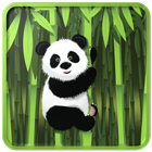 Unlock Panda icône
