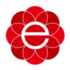 eSolar Portal icon