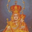 Vailankanni Our Lady Of Health