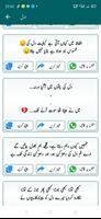 Urdu Peotry offline & online ا capture d'écran 1