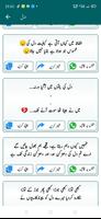 Urdu Peotry offline & online ا تصوير الشاشة 1