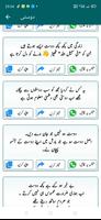 Urdu Peotry offline & online ا تصوير الشاشة 3