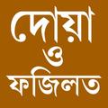 দোয়া ও ফজিলত প্রতিদিনের দোয়া