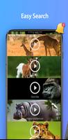 Animals: Ringtone capture d'écran 2