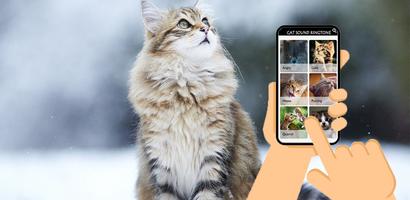 Cat Sound - Meow screenshot 1