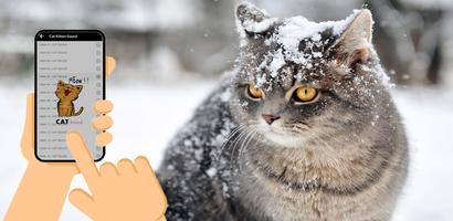 Cat Sound - Meow screenshot 2