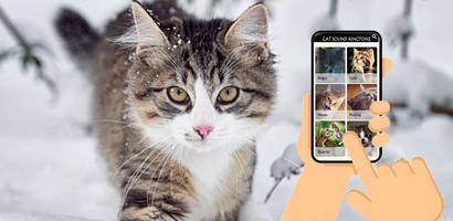 Cat Sound - Meow screenshot 3