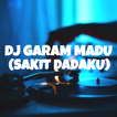 آیکون‌ DJ GARAM DAN MADU mp3 offline