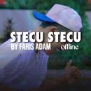 Stecu - Faris Adam Offline APK