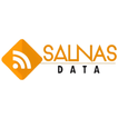 Salnas Data ikona
