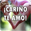 ¡Cariño te amo! Frases de amor
