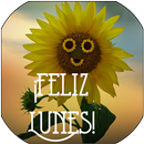 LUNES, PRIMER DÍA DE LA SEMANA APK