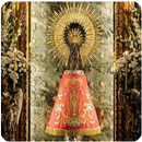 NUESTRA SEÑORA DEL PILAR APK