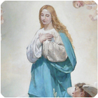 Inmaculada Concepción icône