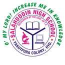Salahuddin High School APK