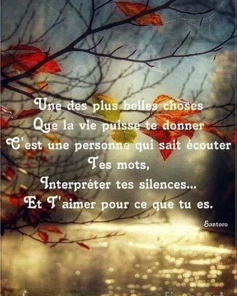 Citation Amour Romantique For Android Apk Download