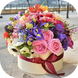 Flowers and Roses Images