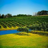 Bewässerungssystem - Leitfaden APK