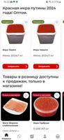 Золото Камчатки Screenshot 1