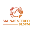Salinas Stereo
