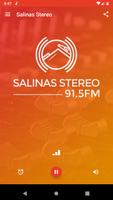 Salinas Stereo ภาพหน้าจอ 1