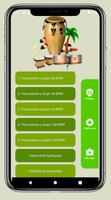 Percusión salsa - Loops screenshot 2
