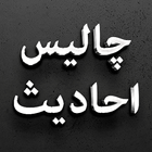 Forty Ahadees Urdu ícone