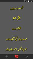 Forty Ahadees Urdu capture d'écran 1