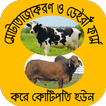 গরুর খামারের বিস্তারিতcow farm