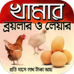 ব্রয়লার ও লেয়ার খামার broiler