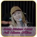 APK Lagu Salsa Bintan Offline